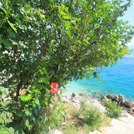 Sea Front Alexandra Lejlighed Nisaki (Corfu)