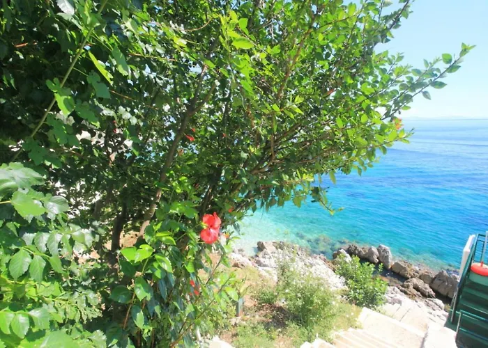 Sea Front Alexandra Апартаменты Ниссаки